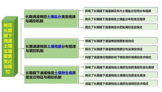 科研成果整体框架图 石河子大学供图