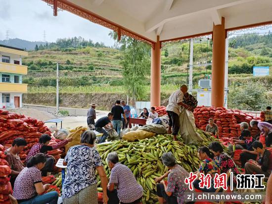 浙商期货消费帮扶助力乡村振兴。 浙江交通集团 供图 浙商期货消费帮扶助力乡村振兴。 浙江交通集团 供图