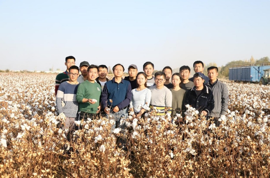 团队在棉田取样时的合影。石河子大学供图