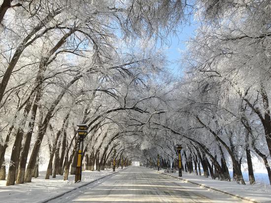 5abeacdaff66076da83436125dcf73e4