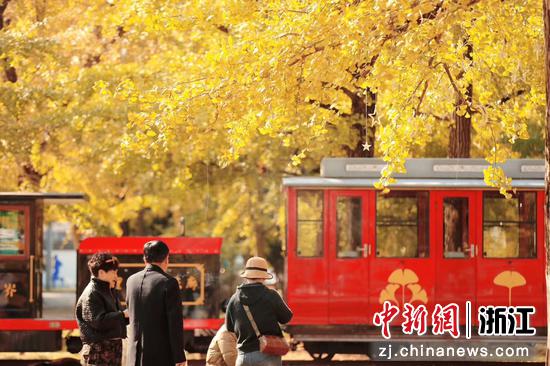 近日,小浦镇一景。(长兴杏福文旅发展公司供图) 近日,小浦镇一景。(长兴杏福文旅发展公司供图)