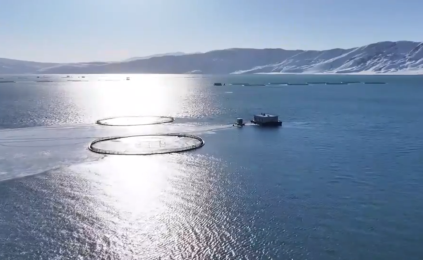 侨乡故事 | 张秀：三文鱼与新疆的“共富”之路