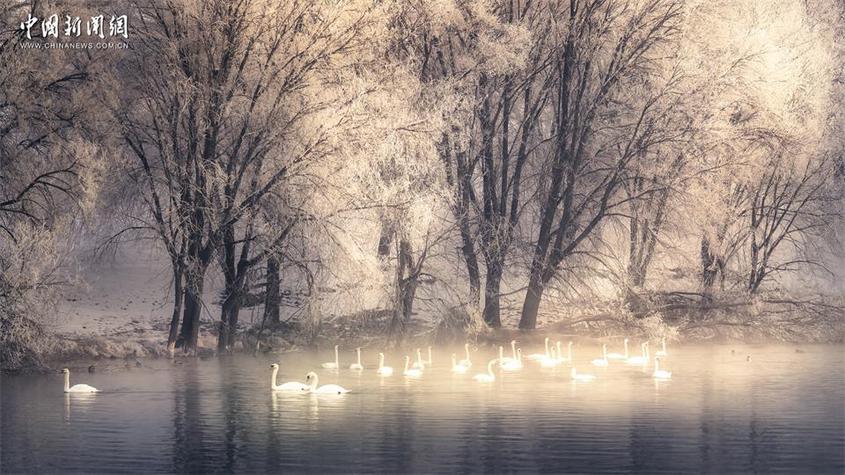 【这个城市有点潮】伊犁:在天山脚下 开启冬日限定的童话之旅 伊犁:在天山脚下 开启冬日限定的童话之旅