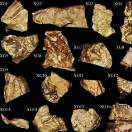 中国新疆两千多年前金箔科技考古：揭秘亚欧大陆早期“黄金之路”