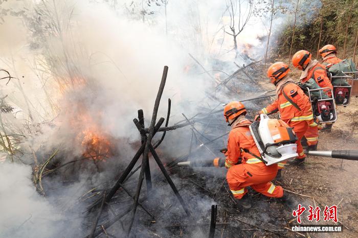 广西举行2025年森林防灭火应急处置演练