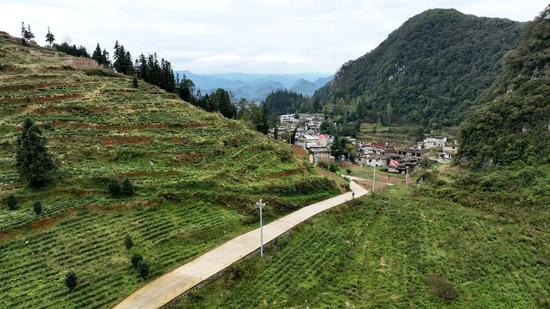 村村通公路 村村通公路