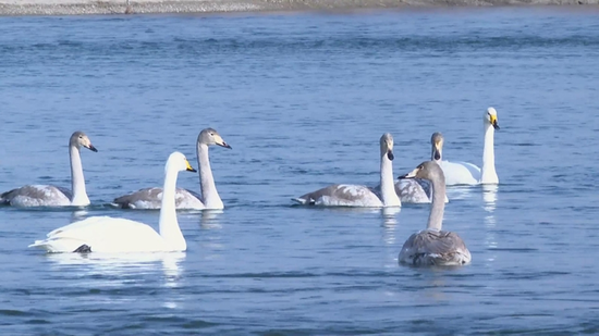 37bb948f99d179428fabcc33bae278f6