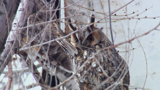 73d26e0a-6305-46e6-af06-ffec8c68c46e