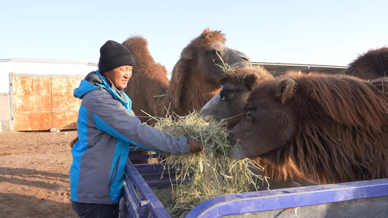 0619733d3022161368634da117baefb9