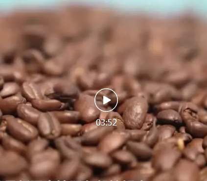 侨乡故事 | 台湾咖啡大叔：我想一直留在新疆