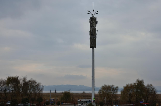 智慧监测赋能，科技守护候鸟栖息家园