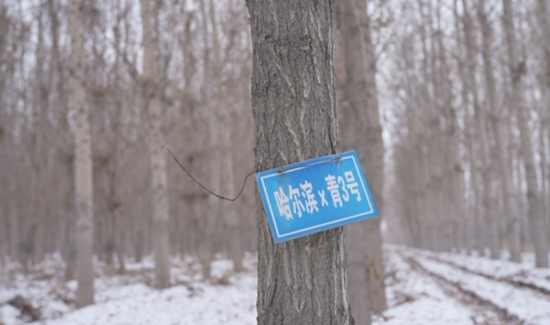 62a426d7-95c7-4d09-9790-9ca24b4b906a