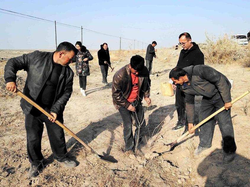 干部群众正在植树。喀伍力江 摄