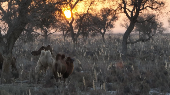 00e430480f182d641b3ac711b587db8f