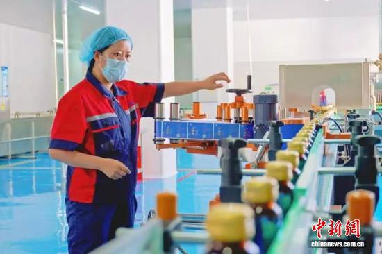 图为贵州省德江县天麻精深加工流水线。(德江县融媒体中心供图) 图为贵州省德江县天麻精深加工流水线。(德江县融媒体中心供图)