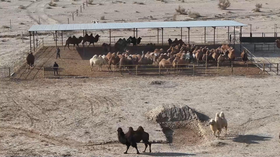 58dbdd3d6590867844675d08c2df945c