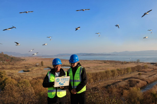 科学规划布局，建设生态友好型通信网络