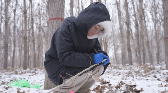 9223d90e-bad6-4962-bba5-3e29c3084a35