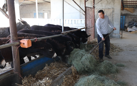 ab38482df2132f63b47397ebc6d4f4f6