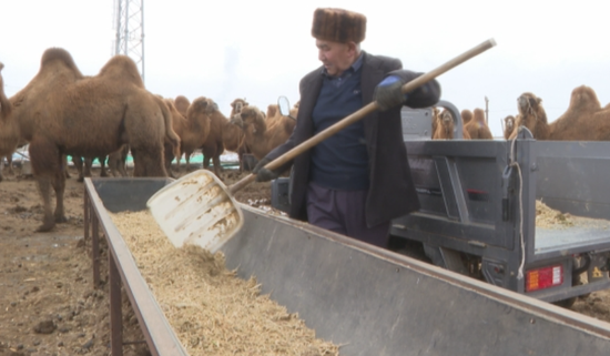 210262c4-b470-4d27-be08-18a32683671b