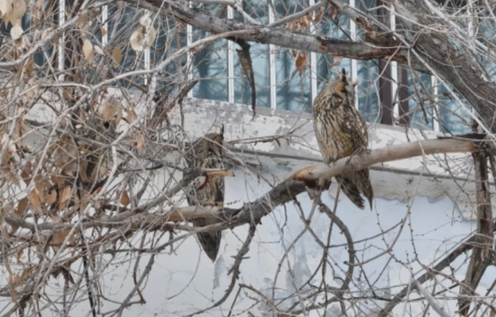 c6e69924-4470-4d99-9e8f-60369c775819