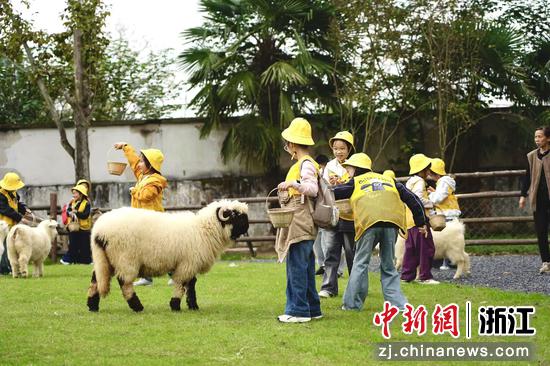 白茶原小镇研学现场。(资料图,主办方供图) 白茶原小镇研学现场。(资料图,主办方供图)