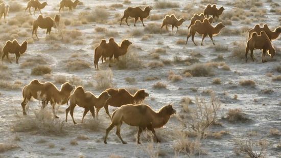 f3c90449a7fff14219de4fc703431d54