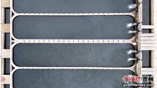 虹鳟三文鱼养殖基地。陈昆 摄