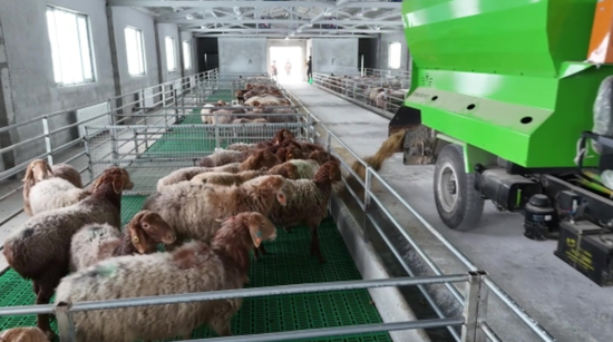 ad8affed-febe-4200-af89-01ea2b1c0cfb