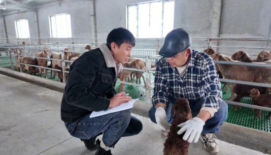 5ec47cb1-3492-47ae-96cd-943cc3caaba9