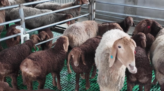 2b51461f-8bac-4a96-a0f7-8164ef145ecc