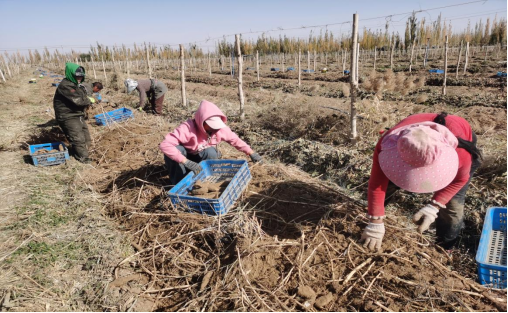 d7912e85d392b9d3d6584532e1c1aed8