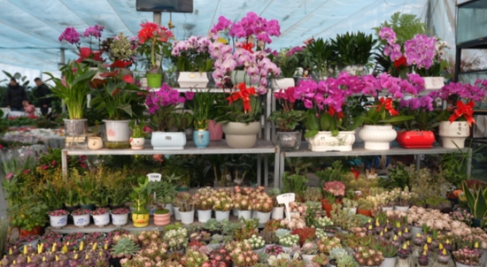 9cf7a3ed-0839-46bb-a793-6dcc3658bb8f