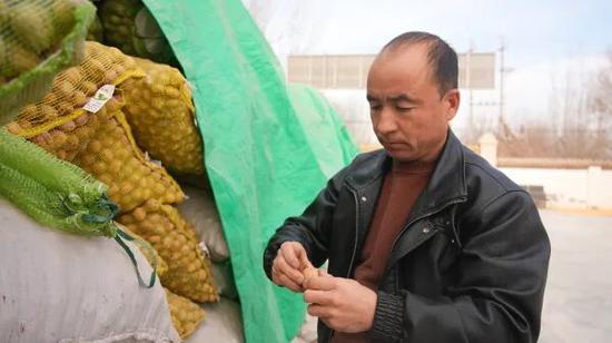  库尔斑·奥布力艾散在查看收购来的核桃质量。