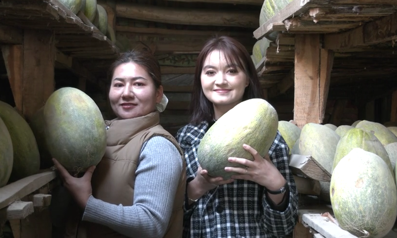 冬日里的清甜暴击！巴楚留香瓜一口暴汁太绝了
