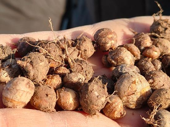 407c02f1cd7d02a2ef6b535ec8a39321