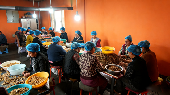 公司员工忙着作业c