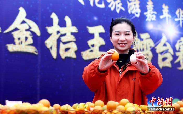 广西融安举行金桔王争霸赛 “果王”拍出3.3万元高价