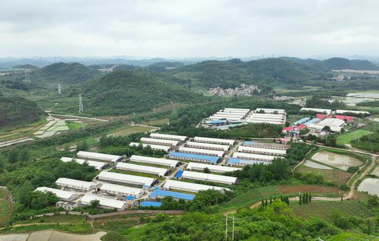 清镇温氏畜牧有限公司种鸡场与孵化厂。代胜强 摄 清镇温氏畜牧有限公司种鸡场与孵化厂。代胜强 摄