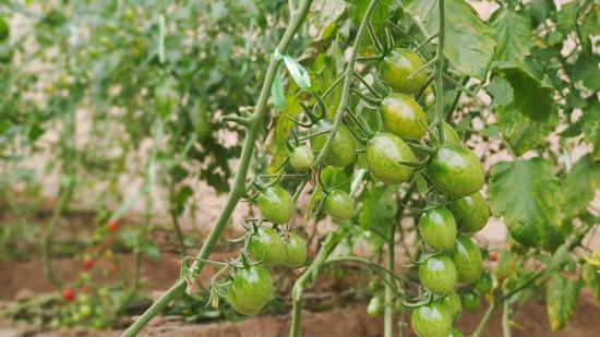 86769d217dc50c2bd663e8405d4b7f92