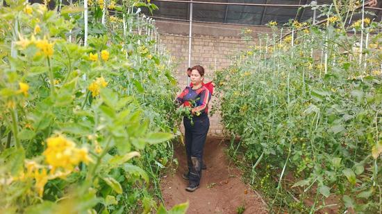 11d00901150fb13e813ff5ff2047b707