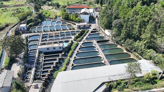 鲟鱼养殖基地 张小龙 摄 鲟鱼养殖基地 张小龙 摄