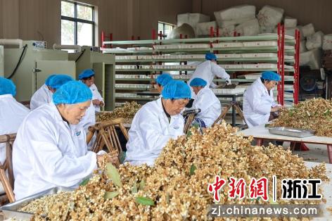 杭州市临平区东湖街道姚家埭村“共富工坊”内。东湖街道供图 杭州市临平区东湖街道姚家埭村“共富工坊”内。东湖街道供图