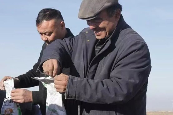 察布查尔县：顶凌播植红花探索农业发展新路