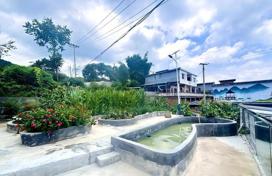 白鹿村村民结合爱好，打造了集小花园、小菜园等为一体的庭院。习水县融媒体中心供图