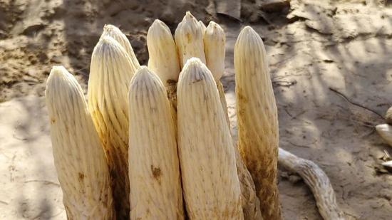 d38927d33bbe18254f99af2496c20b87