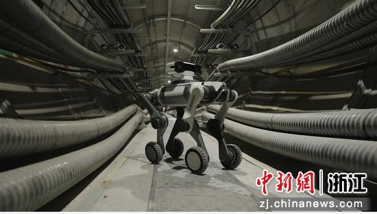 杭州企业云深处生产的四足机器人应用于城市管廊巡检。云深处供图