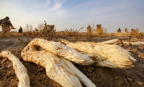 7030f3e2e3c30e9828377bb7655d83f8