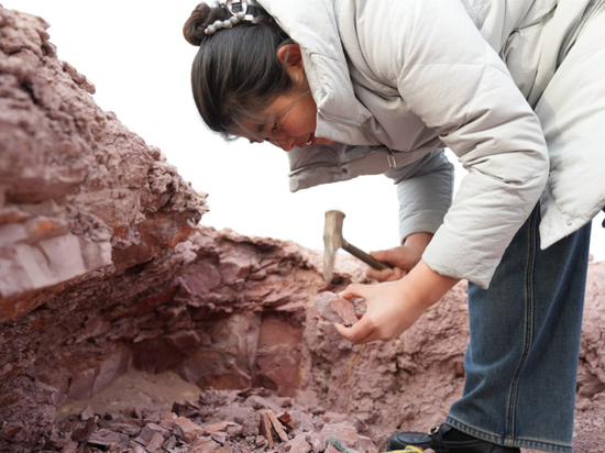 698467c87231b3bae8bdab81c0764d20