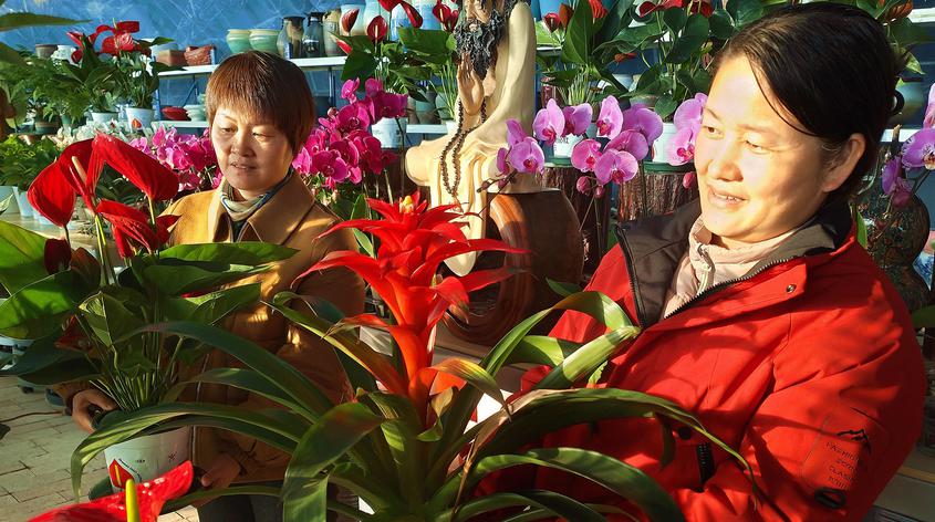 居民在赏花选购花卉。华岩明摄